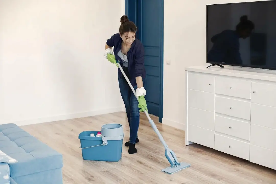 Apartment Cleaning